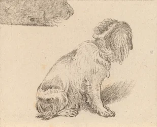 座っている犬、1777年。