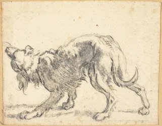 犬
