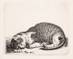 眠る猫、1607-81年頃