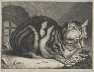 大きな猫