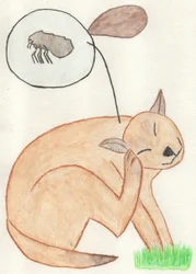 生意気なノミ