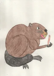 真の友情
