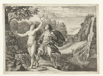 ダフネを追うアポロン Ovid