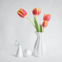 春のチューリップと蝶