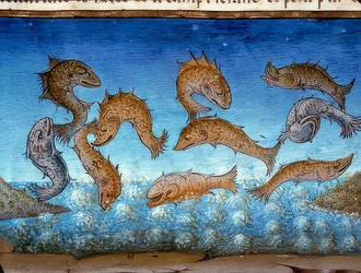 世界の終わり：魚は上を泳ぐ（c.147r）。 1476年