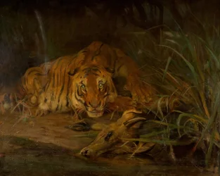 虎と獲物、1931年。