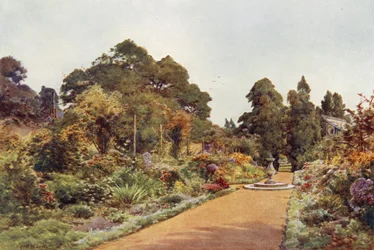 センターウォーク、クレアモント、北を見ている（色の色）