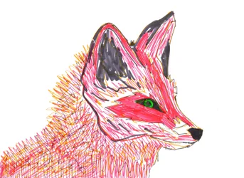 フォックス（紙にフェルトチップ）