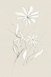 ファーム・フラワー