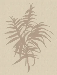 植物中立