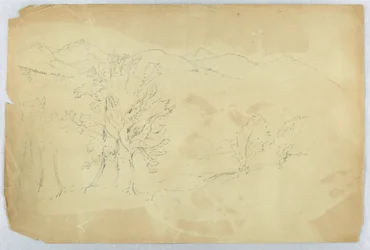 山の風景