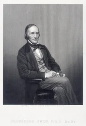 サーリチャードオーウェン、イギリスの動物学者、c1860。