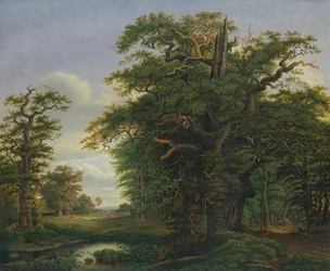 オークウッド、1847