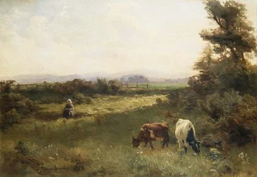 Blairgowrie近郊の夏の午後