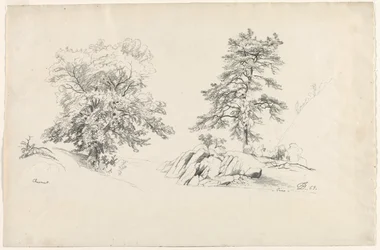 栗と松、1869年。