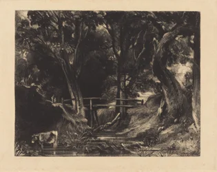 A Dell、ヘルミンガム パーク、サフォーク