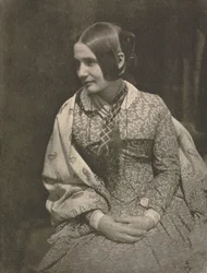 カメラワーク：花のドレスを着た女性、1912年。