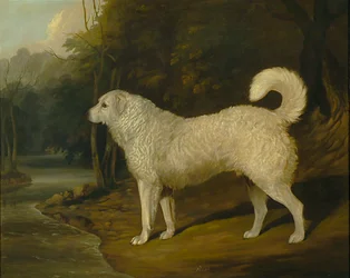 犬の肖像、ロス