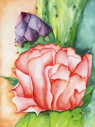 砂漠の花, 2007 （水彩）