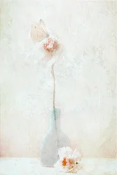 可憐な蝶の花