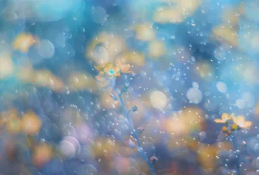 夢のようなブルーの花柄とキラキラ感