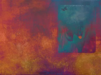 幻想的な蝶の輝き