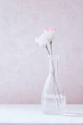恋する花たち