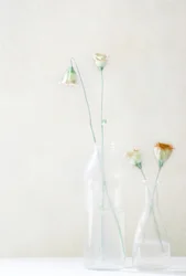 ガラスの中の淡い花々