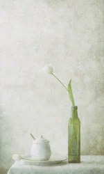 白いチューリップの静物画