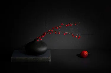 赤い実と黒い花瓶の静物