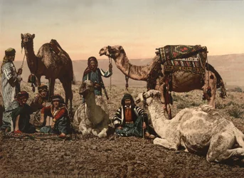 砂漠で止まるラクダ、聖地、1890年頃（写真製版）