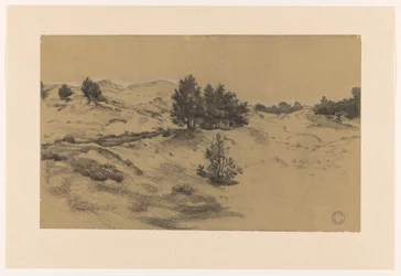 砂丘の風景