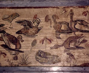 水の庭のアヒルとカエルのポンペイのローマ時代のモザイク、1世紀