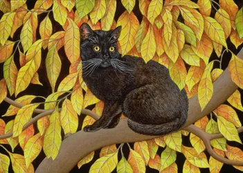 秋の紅葉、1994