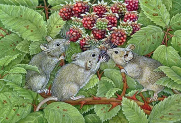 Blackberrying、1996（パネルにアクリル）