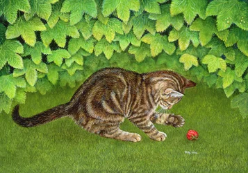 Strawberry-Kitten、1996（パネルにアクリル）
