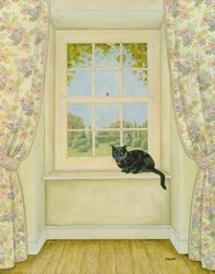 窓猫