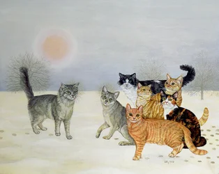 冬猫