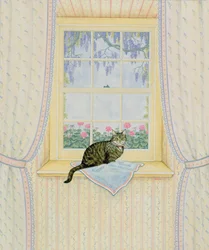 藤猫