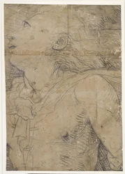 上を見上げる青年（半身像）、下絵の断片か？