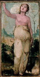 女性像。ドメニコ・ベッカフミ（1486-1551）の絵画。シエナ、コンセルバトリオ