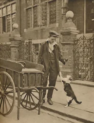 最も確立された取引の1つ：顧客と猫と肉の男、c1935。