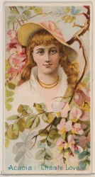 アカシア: 貞淑な愛、シリーズ「花の美しさと花言葉 N75 for Duk...」から、1892 年。
