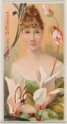 シクラメン: ディフィデンス、シリーズ「花の美しさと花言葉 N75 for Du...」から、1892 年。