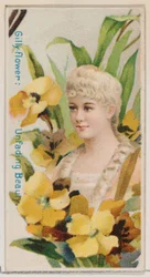 Gilly-flower: Unfading Beauty、シリーズ「Floral Beauties and Flowers of Flowers N7...」、1892年より。