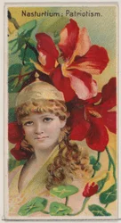 キンレンカ: 愛国心、シリーズ「花の美しさと花言葉 N75 for ...」、1892年から。