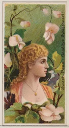Sweet-Peas: Goodbye Sweetheart!、シリーズ「Floral Beauties and Flowers of Flowers ...」、1892年より。