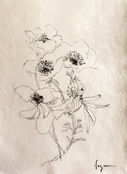 繊細な花のスケッチ