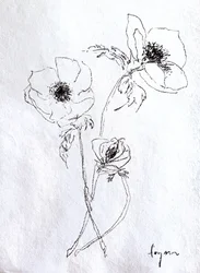 繊細な花のスケッチ