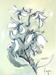 白い花のスケッチ